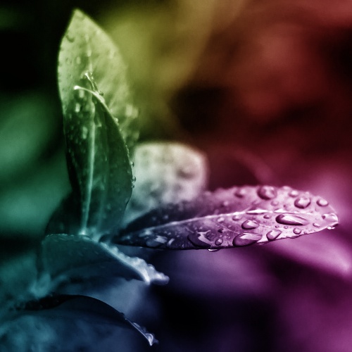 https://www.photoshop-cafe.de/bildupload/pics/mw/thumb/1307460641_Colored Waterdrops.jpg